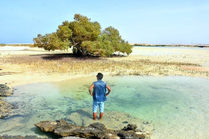 Wady Elgemal National Park Marsa Alam - Navigating the Parks Trail System