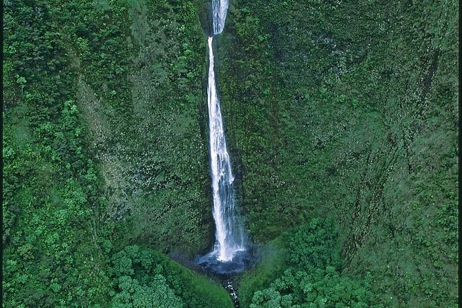 Waimea: Doors-Off Helicopter Tour of Kohala Valleys & Waterfalls - Important Safety Information