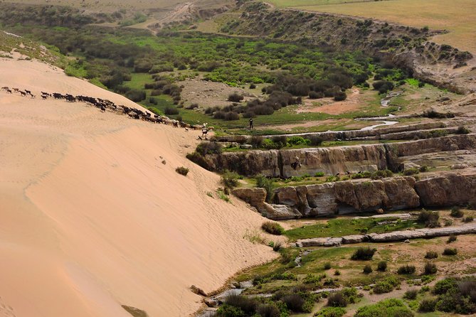 Walk Between Argan Forest, Ocean & Waterfalls. 12 Km - Physical Requirements