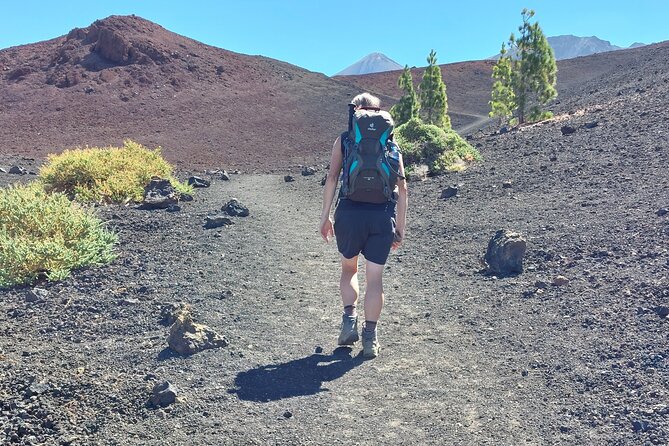 Walking on the Moon Around the Volcano Teide in Tenerife - Positive Feedback