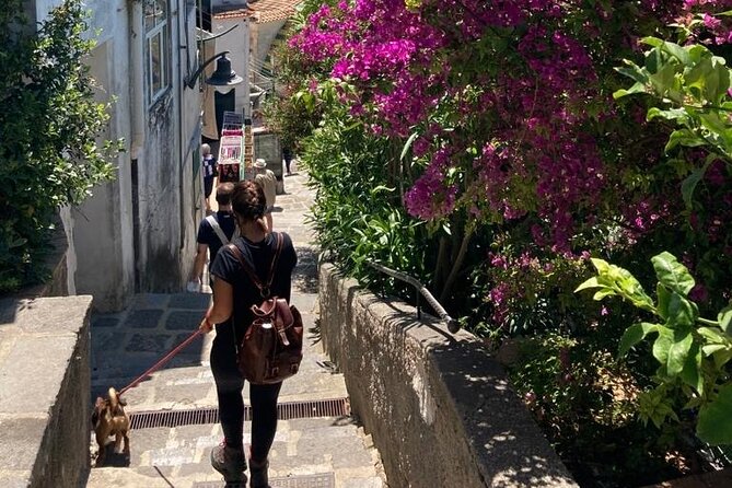 Walking Tour From Minori to Maiori Along the Path of the Lemons - Admission and Accessibility