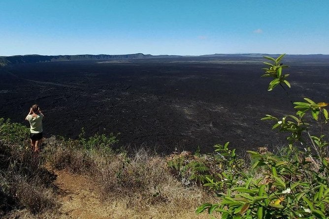 Walking Tour to Sierra Negra Volcano and Chico Volcano From Isabela Island - Terrain and Difficulty Level