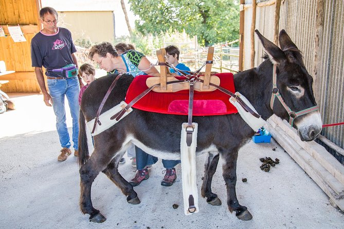 Walks and Hikes With Donkeys - Mythical Mélusine
