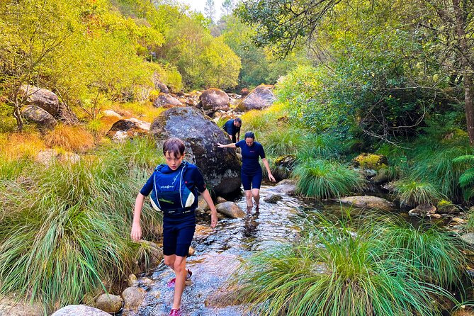Water Walk in Lagoons and Waterfalls - Feedback and Support