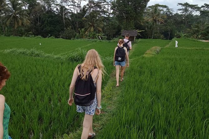 Waterfall Tour And Sasak Traditional Tour - Itinerary and Schedule