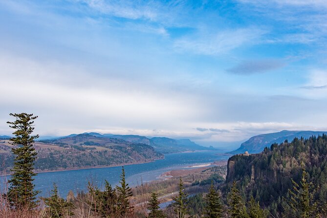 Waterfalls, Wine, and Timberline Tour - Reviews and Feedback