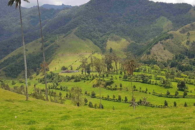 Wax Palms, Salento and Coffee Private Full Day Tour - Salento Town Center