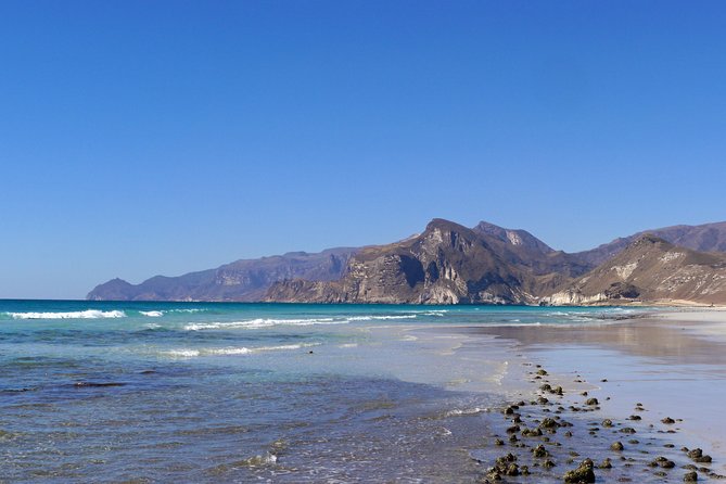 West Coast Mountains and Beaches (Fazayah Beach + Shaat Cliff) - Tour Inclusions and Amenities