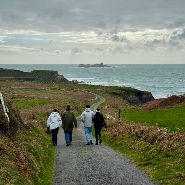 West Cork: Toe Head Clifftop Hike With Coffee & Cookies - Local Wildlife and Flora