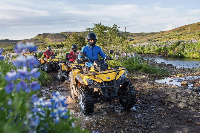 Whale Watching & ATV Adventure From Reykjavik - Additional Attractions in Reykjavik