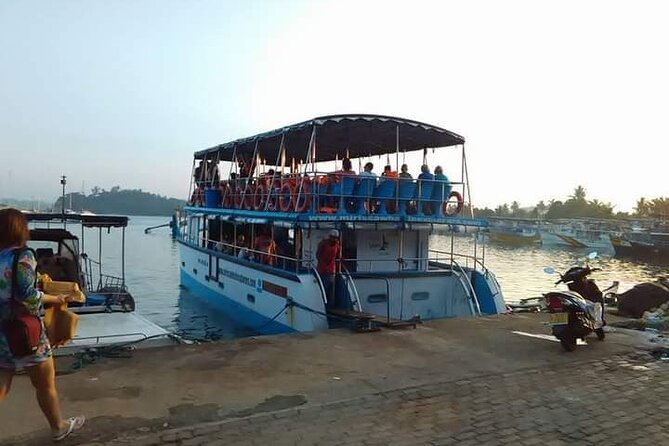 Whale Watching Experience in Mirissa - Tips for a Great Tour