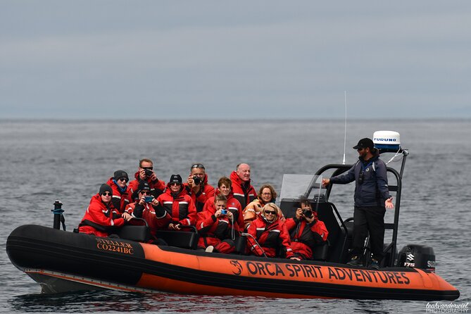 Whale Watching Tour in a Zodiac Boat in Victoria - Safety Guidelines and Precautions