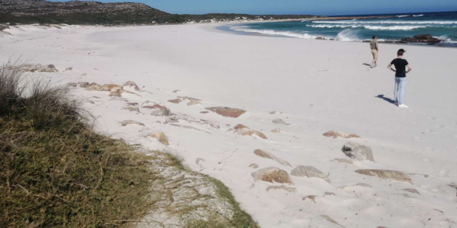 Whole Day Cape Point Tour-13 Point of Interest in One Day - Scenic Coastal Drives