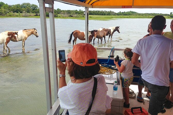 Wild Pony Watching Boat Tour From Chincoteague to Assateague - Pricing and Booking Information