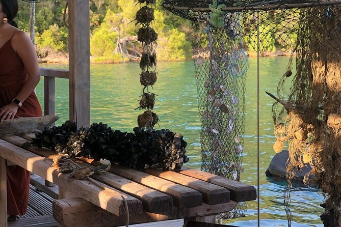 Wine and Food Daily Tour - Booking Information