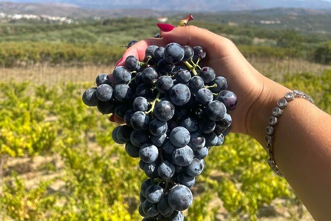 Wine at Stylianou Winery: An Exquisite Tasting Experience - Additional Information