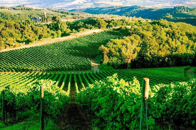 Wine & Food Tour in Tuk Tuk - Meeting and Pickup Details