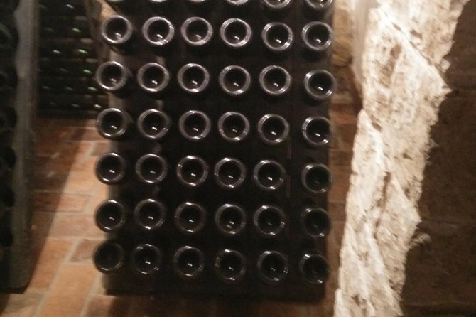 Wine & More Tour , Private Guided Wine Tour From Porec, UMAG ,Istria - Knowledgeable and Friendly Guides
