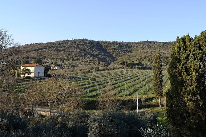 Wine & Oil Tasting Experience - Customer Feedback