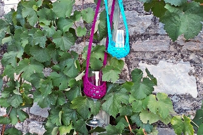 Wine Rally in Würzburg With Tasting - Included Activities and Experiences