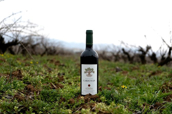 Wine Tasting and Culture - Meeting and Pickup