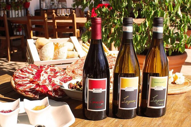 Wine Tasting and Tour of Lugana Wines in Sirmione - Reviews and Feedback