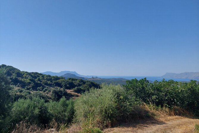 Wine Tasting: Meet the Cretan Vineyard at West Chania - Focused Service in Small Groups