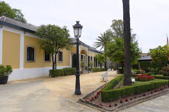 Wine Tourism Half Day Tour - Reviews and Feedback
