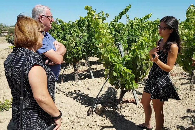 Winery And Oil Mill Tasting Tour - Personalized Experiences