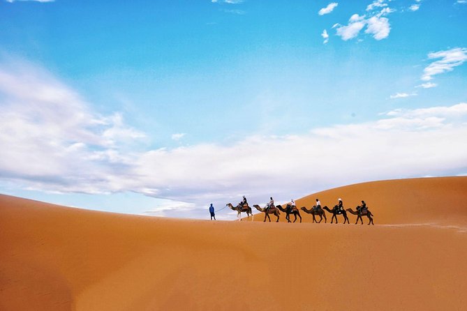 Wonderful Desert Tour From Fes To Merzouga 1 Night 2 Days - Pricing