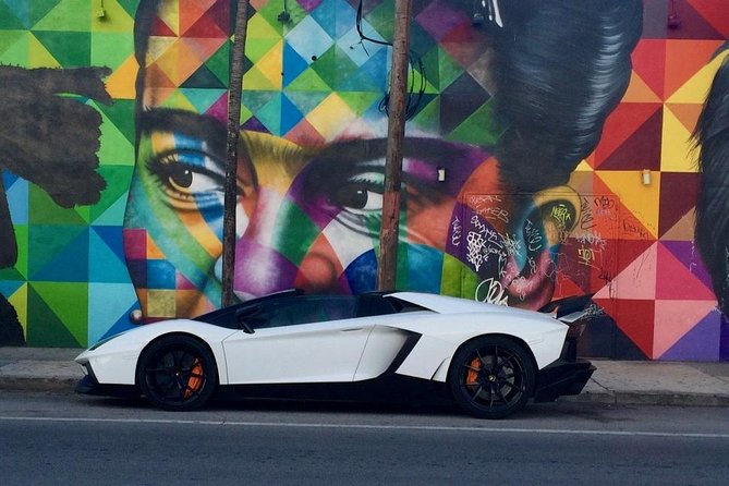 Wynwood French Guided Tour - Street Art - Price and Inclusions