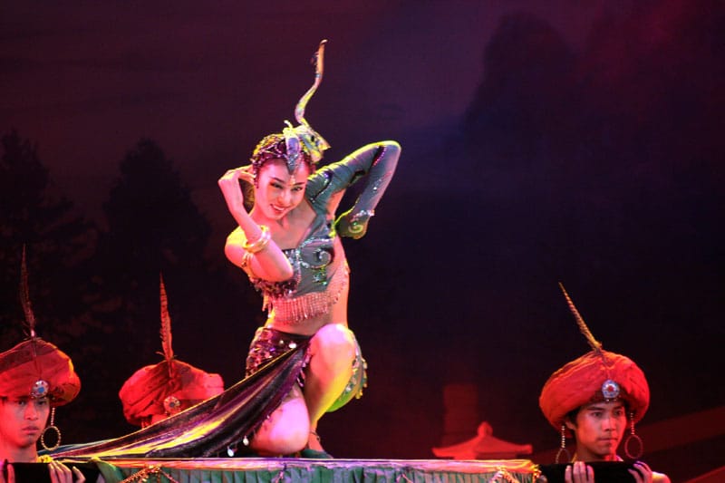 Xian Terra Cotta Warriors Tour With Tang Dynasty Show - Customer Reviews