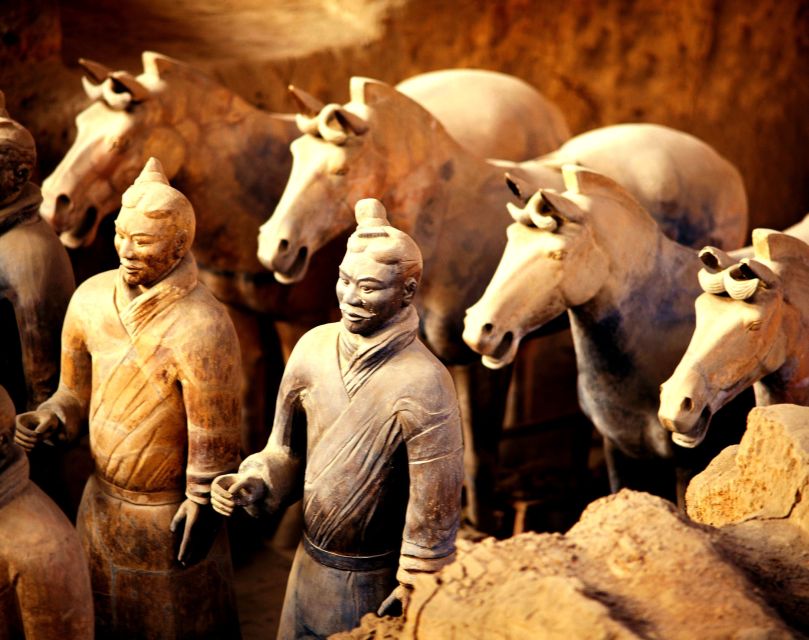 Xian Terracotta Warriors Banpo Museum Option Private Tour - Booking and Cancellation