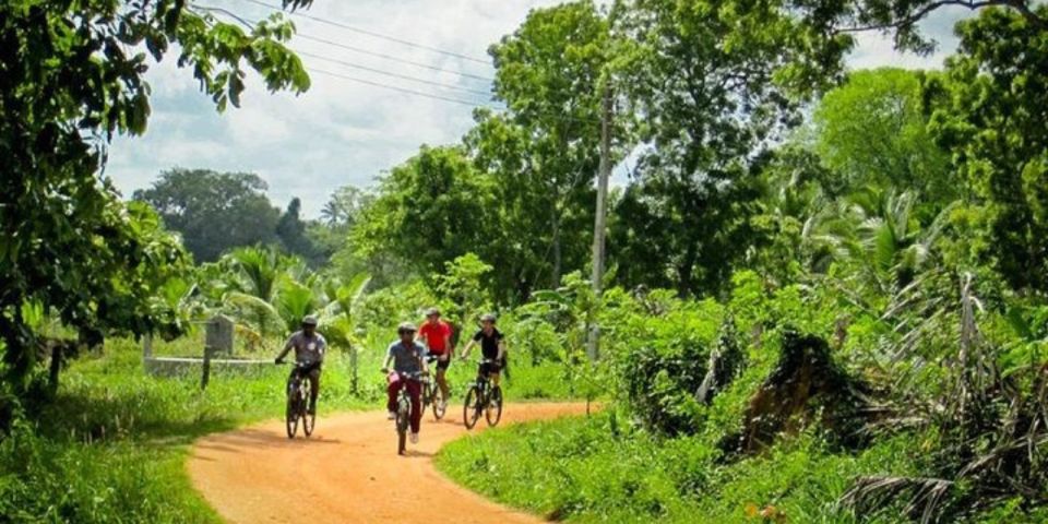 Yala: Cycling Expedition From Hambantota Harbor - Cycling Gear and Safety