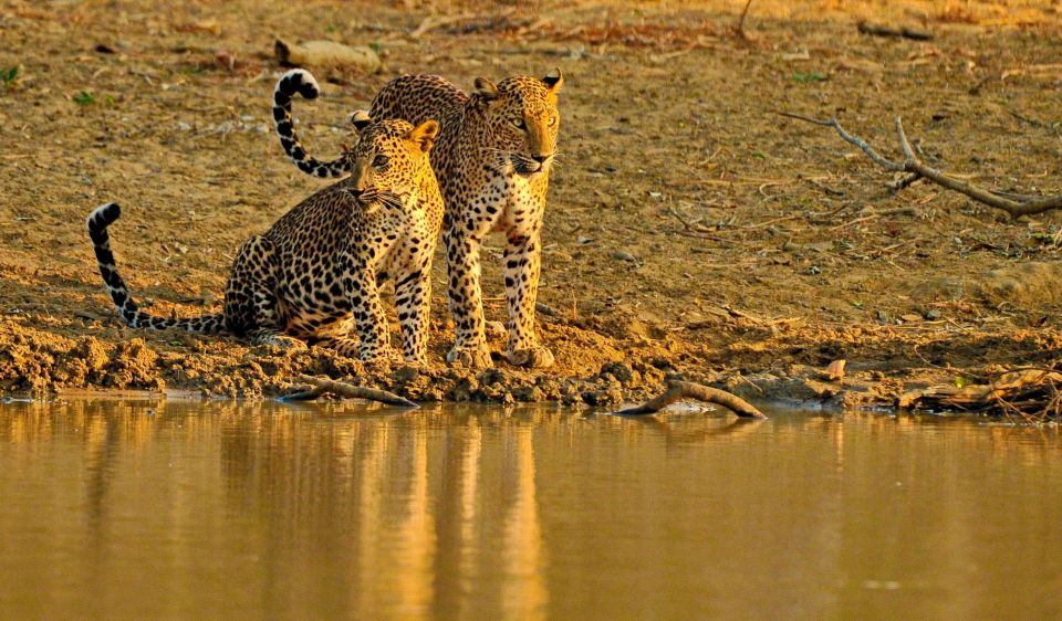 Yala National Park All-Inclusive 2-Day Safari - Nature Trekking and Guided Tours