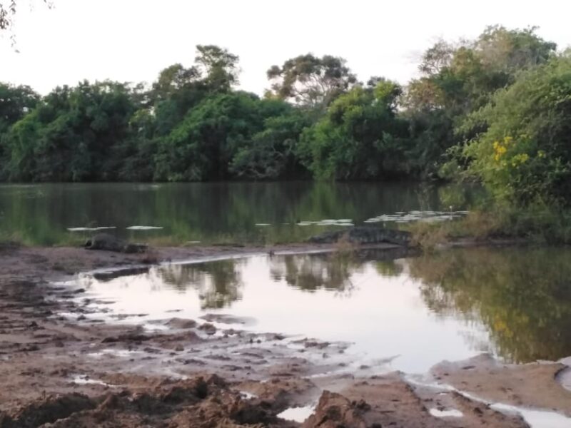 Yala National Park Safari Tour From Colombo / Galle - Inclusions
