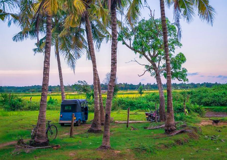 Yala: Village Tuk-Tuk Tour With Curd Making & Pottery Demo - Pickup and Transportation