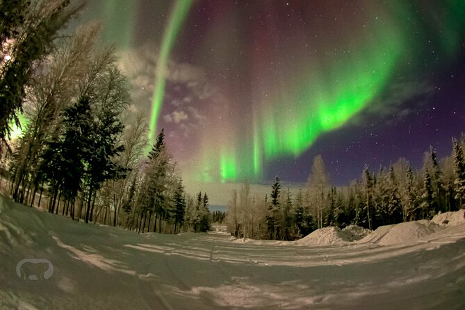 Yellowknife 2 Nights Aurora Hunting and Viewing in Lakeview Cabin - Reviews and Feedback