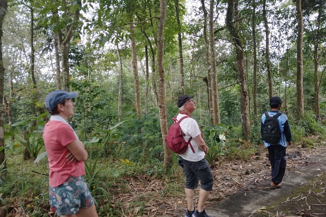 Yogyakarta Countryside Walking Tour - Transportation and Logistics