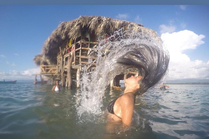 YS Falls, Black River Safari, Floyd's Pelican Bar - Health and Accessibility