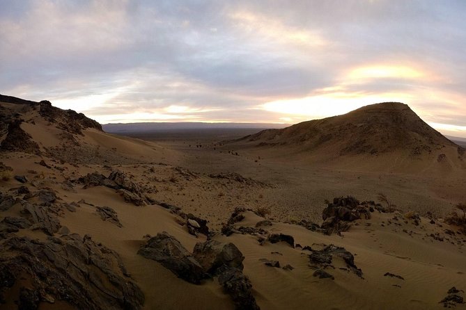 Zagora Desert and Draa Valley Day Trip From Ouarzazate - Pickup and Booking Details