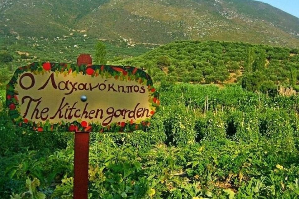 Zakynthos Sunset Tour to Kampi With Greek Night! - Old Olive Tree, Zakynthos