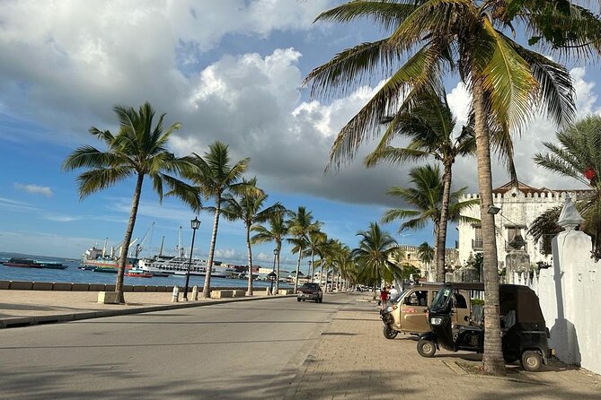 Zanzibar Stone Town Highlight Walking Tour - Embracing the Cultural Diversity of Zanzibar