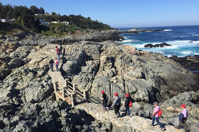 Zapallar Walking & Bird Watching Penguins & Lunch From Valparaiso - Guides Expertise