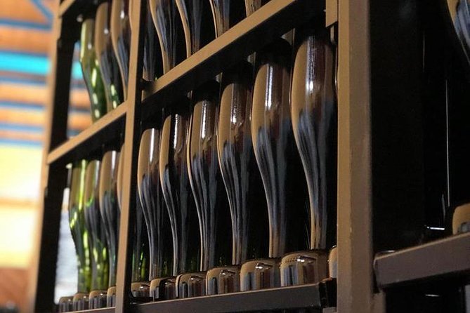 Zaragoza to Cariñena Wineries Full-Day Private Tour - Customer Satisfaction Guarantee