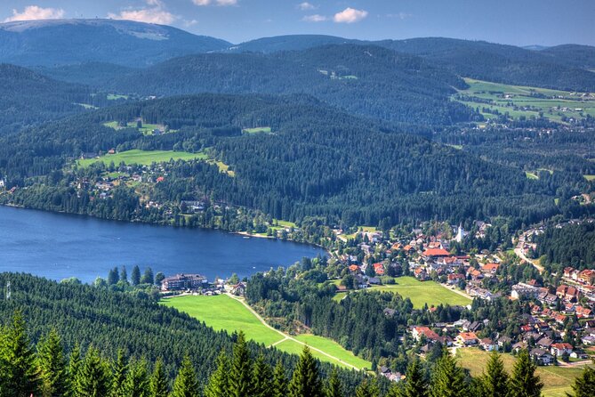 Zürich: Private Car Tour to Rhine Falls, Titisee and Black Forest - Customer Reviews
