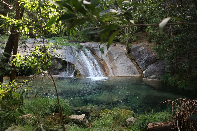 4X4 Tour - Discovering Serra D'arga - Explore the Rugged Terrain