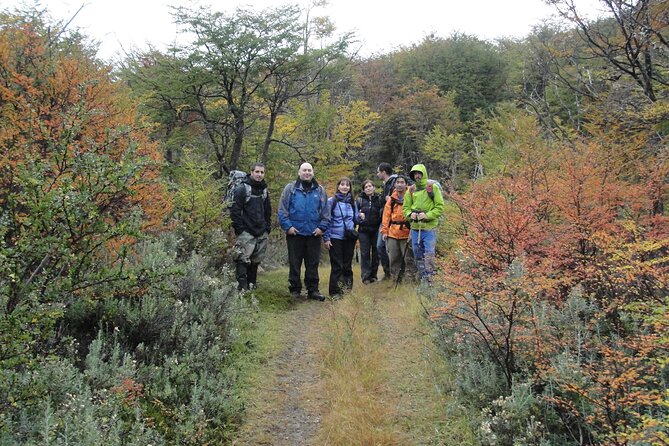 5.5-Hour Nat Park W/ Hiking *Shore Excursion* USHUAIA (Shared Tour for Cruises) - Itinerary Highlights