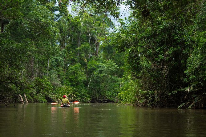 5-Day All Inclusive Cuyabeno Amazon Adventure With Accommodation in Eco Lodge - Good To Know