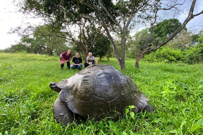 5-Day Galapagos Luxury: Santa Cruz, Isabela, With Local Flight and Snorkeling - Good To Know